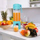 Portable 6-Blade USB Rechargeable Juicer Blender (Random Colour)