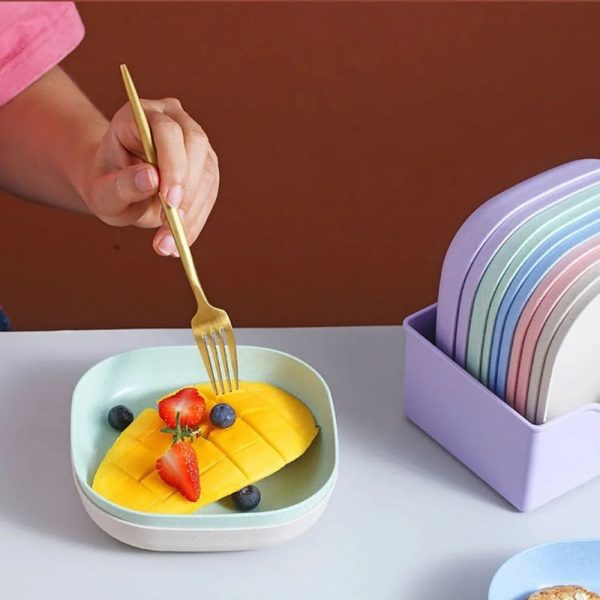 Food Grade Plastic Household Dining Plates | 10 pcs