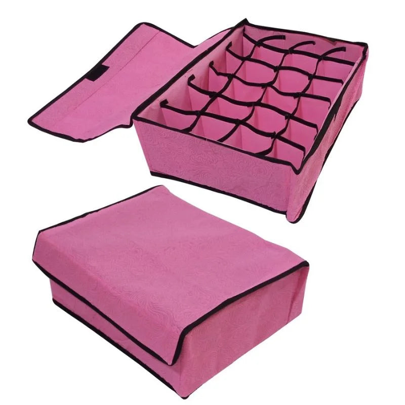 Storage Organizer with Lid