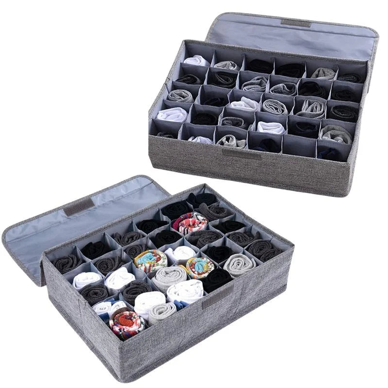 Storage Organizer with Lid