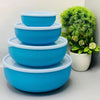 Vibrant 4 Pcs Bowl Set