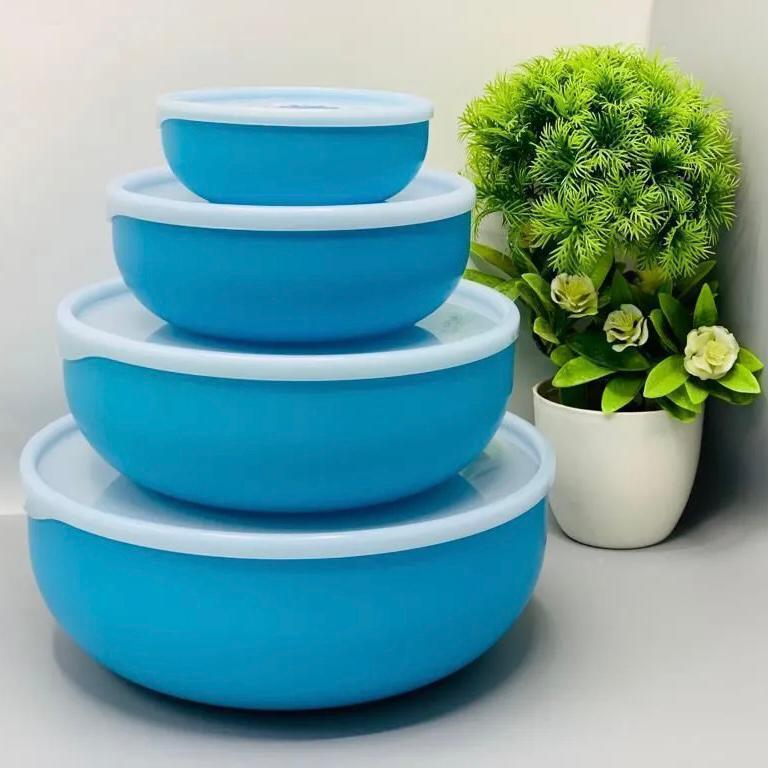 Vibrant 4 Pcs Bowl Set