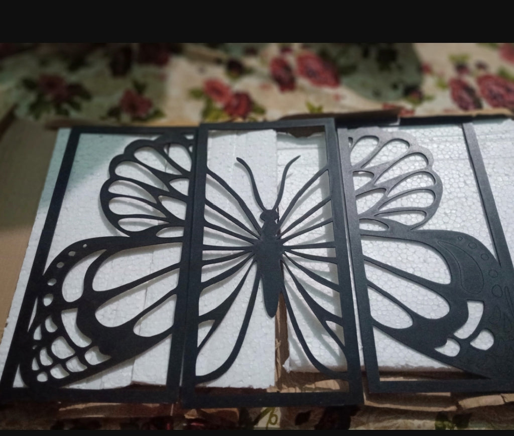 3 Butterfly Frames