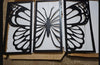 3 Butterfly Frames